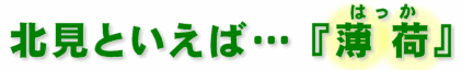 北見といえば…「薄荷」はっか