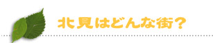 北見はどんな街？